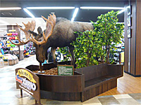店舗画像2