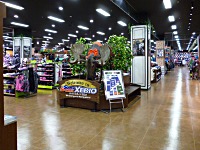 メイン売場