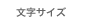 文字サイズ